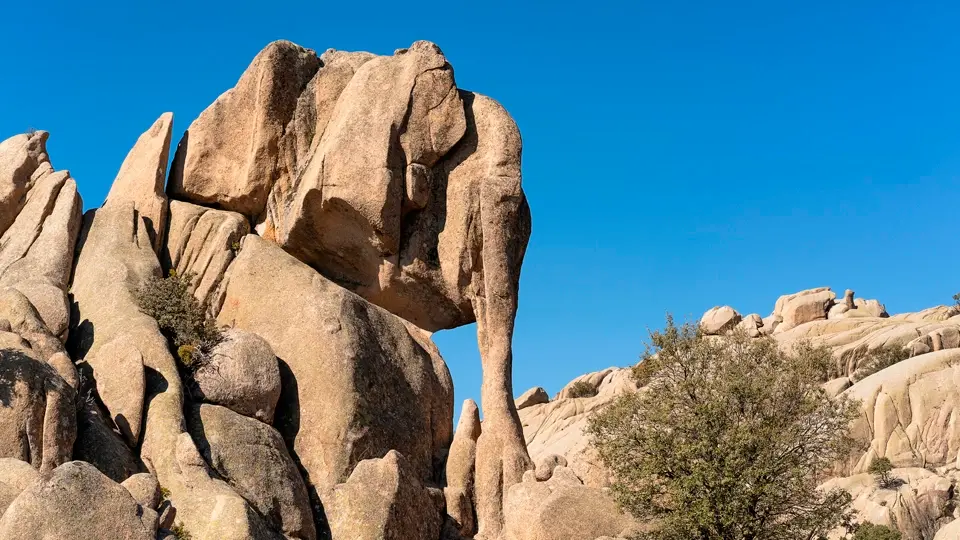 Elefantito. La Pedriza