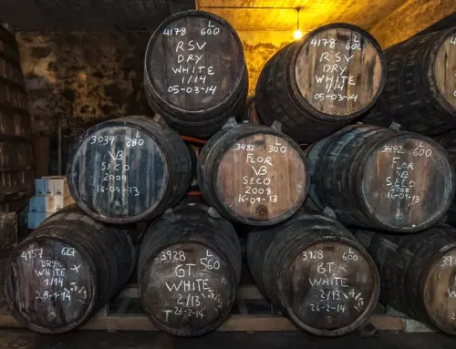 Grape Harvest Festivals in Jerez and Logroño: wine, land and celebration!