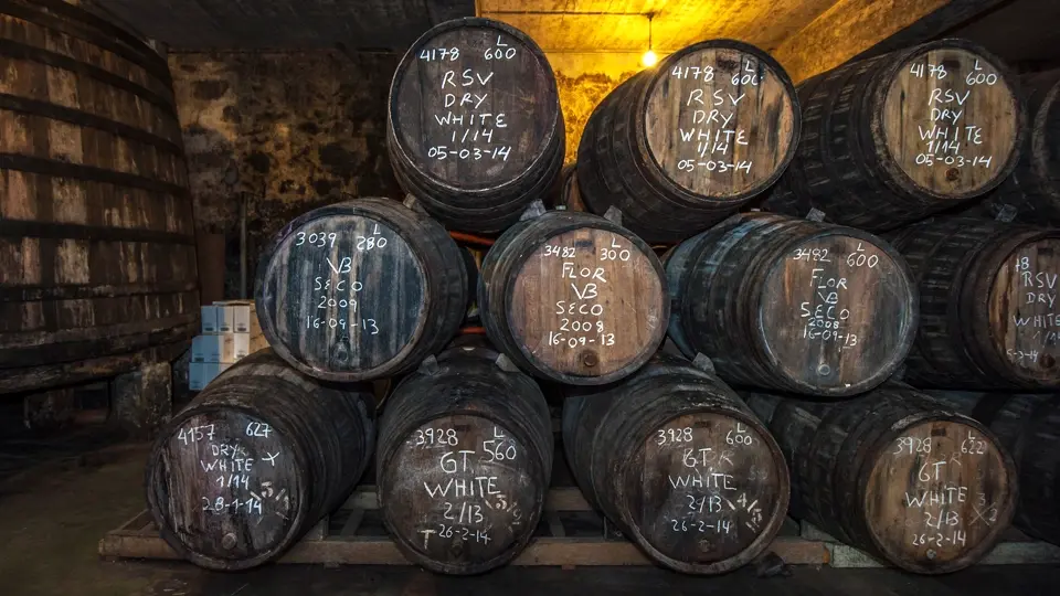Sherry barrels. Jerez