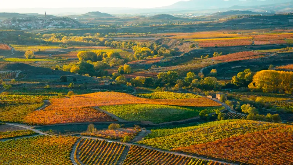 Wine making region. La Rioja