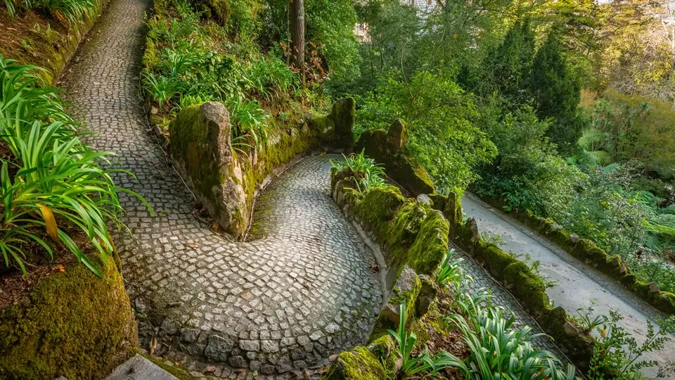 Pena park. Sintra