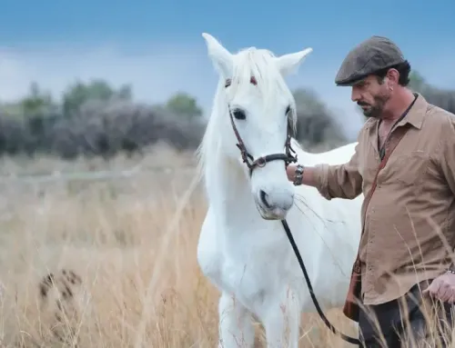 Responsible Travel with Carameltrail: Secrets to Connecting with Local Cultures