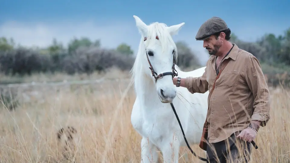 Spanish cattle farmer Spanish cattle farmer