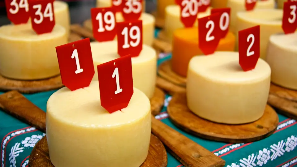 Cheese competition. Basque Country