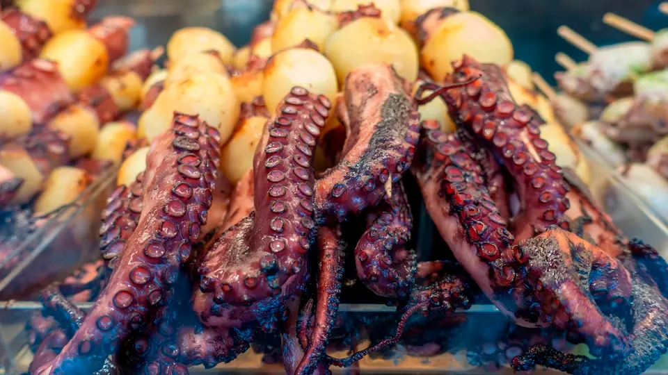 Grilled octopus. Getaria