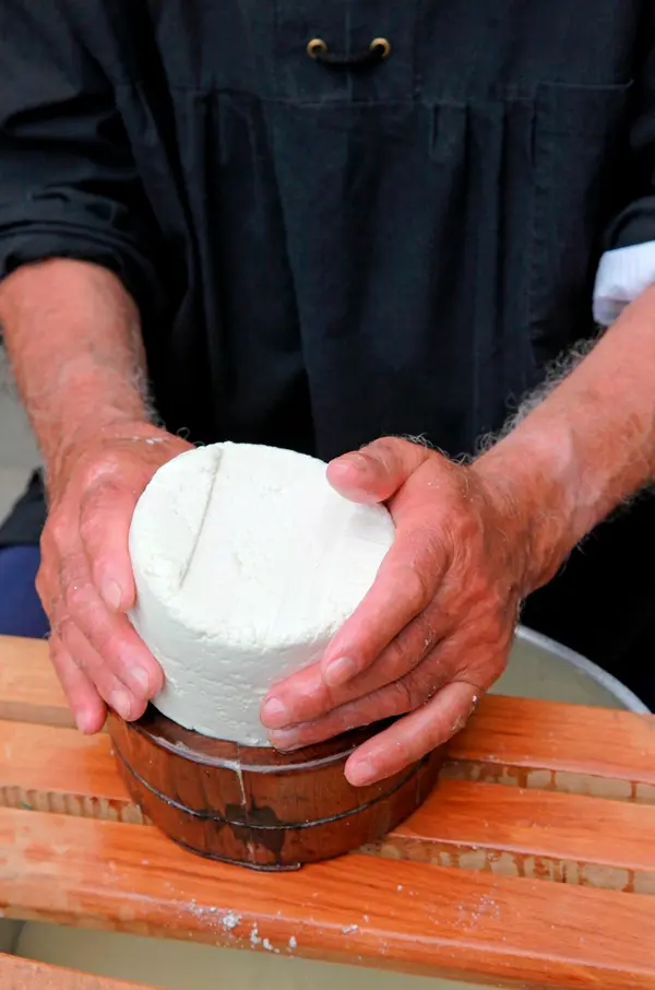 Making Basque cheese