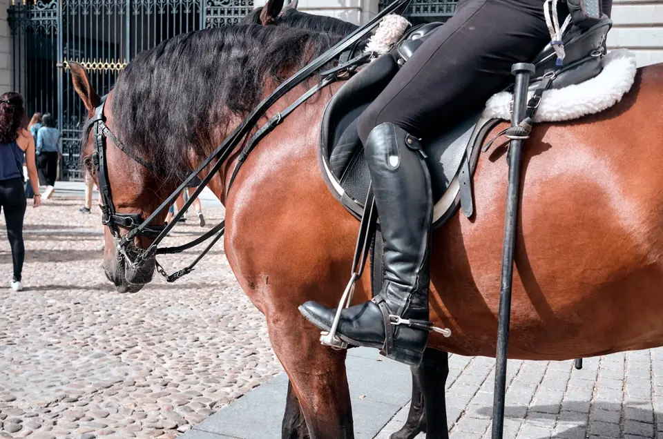 Police man on a horse. Madrid