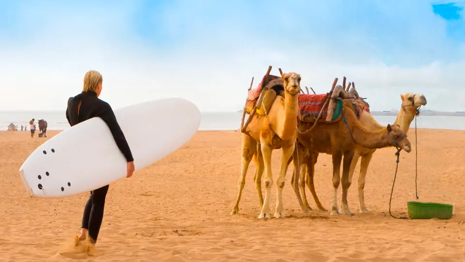 Beach of Essaouira Beach of Essaouira