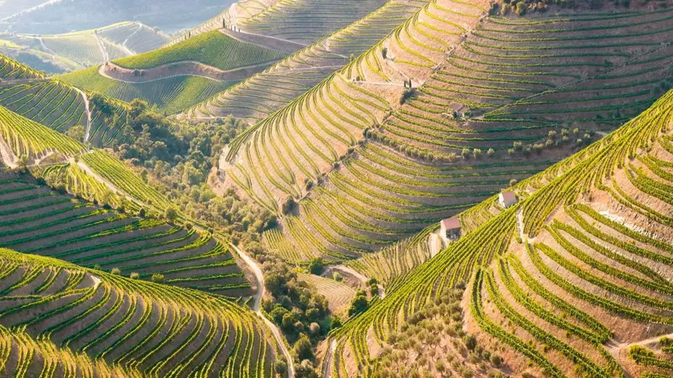 Valley of the river Douro Valley of the river Douro