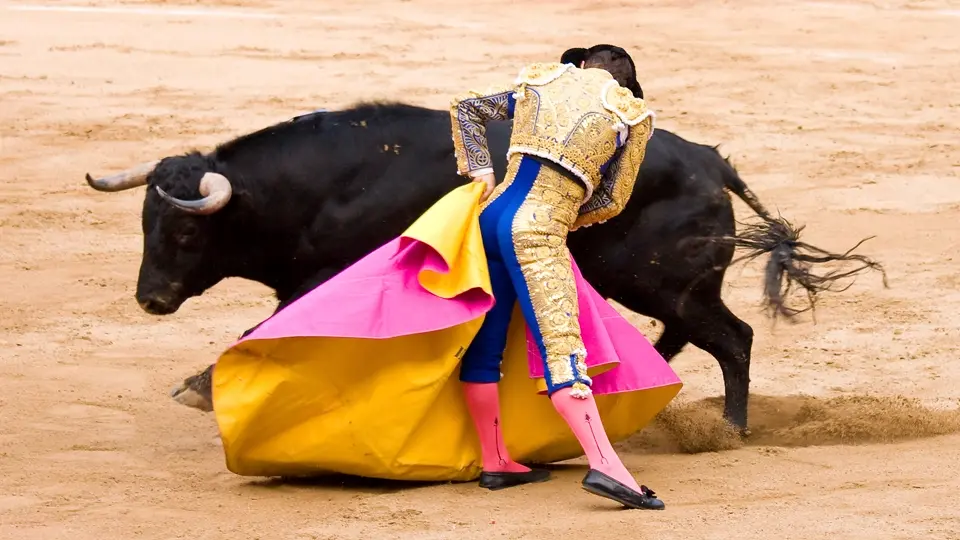 Bullfighter Bullfighter