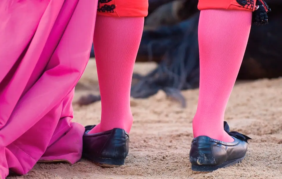 Bullfighter Bullfighter