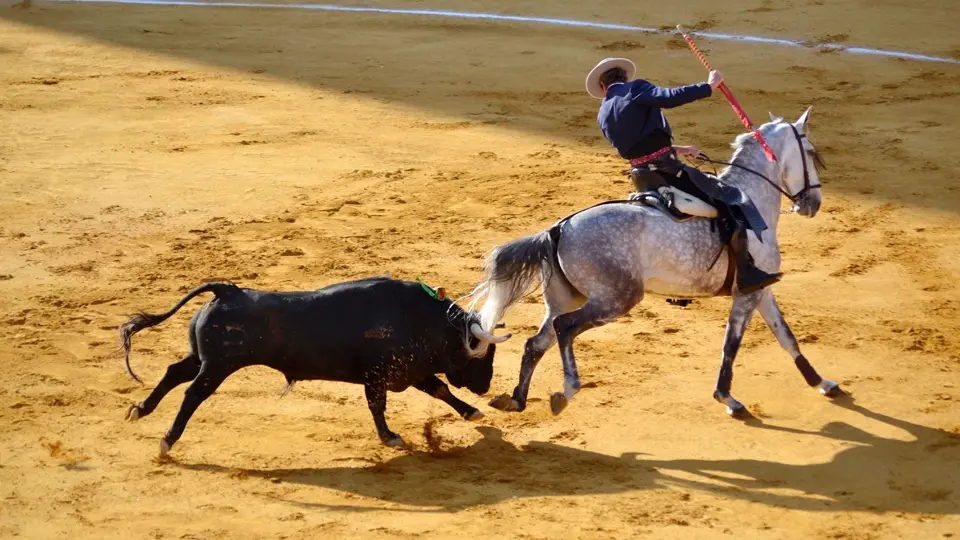 Bullfighting in Spain Bullfighting in Spain