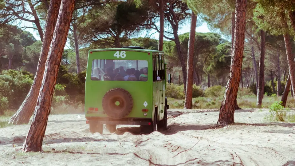 Dunes of Doñana national park Dunes of Doñana national park