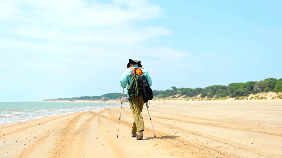 Hiking in Doñana Hiking in Doñana