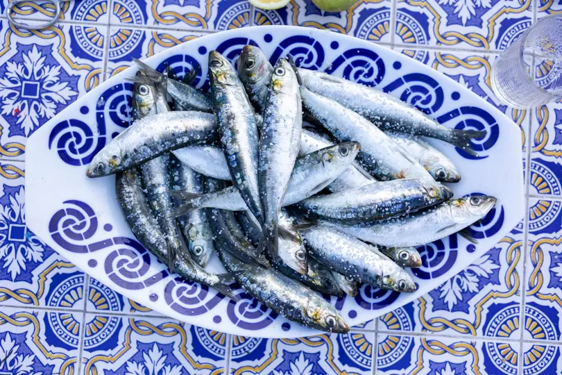 Sardines. Portugal Sardines. Portugal