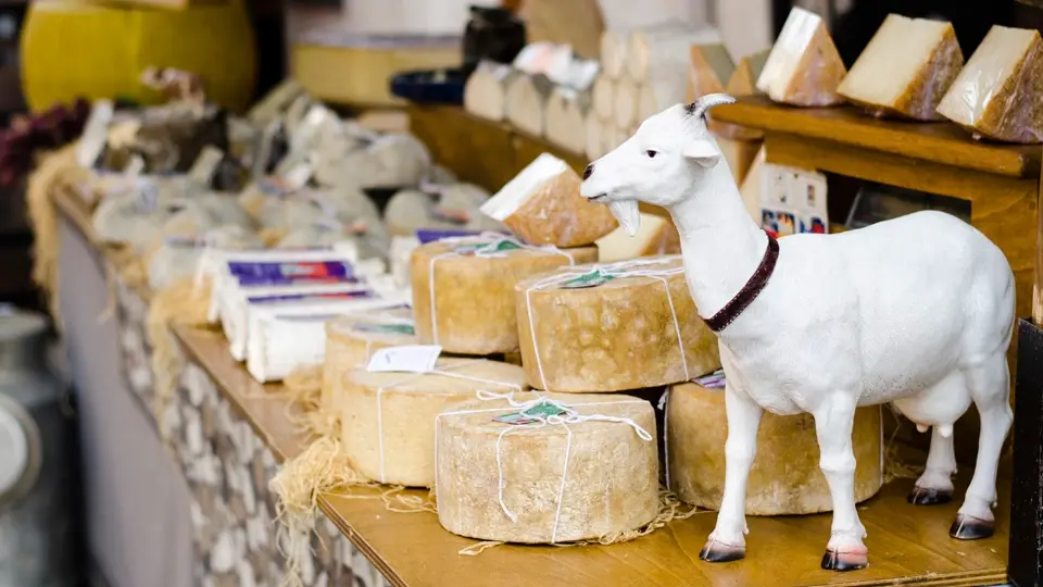 Handmade local cheese Handmade local cheese